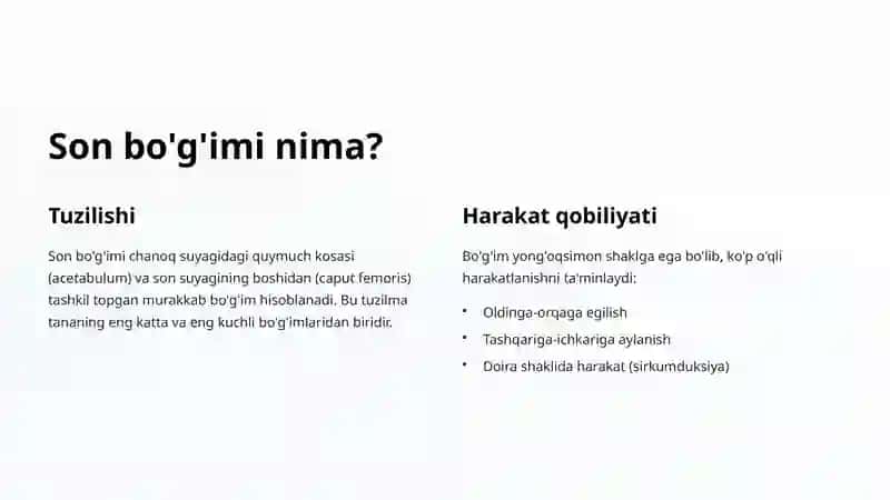 Son bo'g'imi anatomiyasi va mexanikasi 2