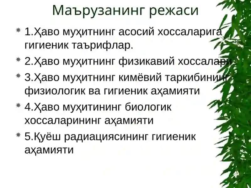 Ҳаво Муҳити ва Қуёш Радиациясининг Гигиеник Тавсифи ва Экологик Аҳамияти 2