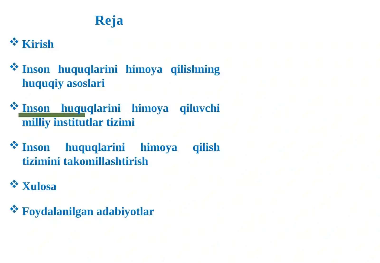 Inson huquqlarini himoya qiluvchi milliy institutlar tizimi 2