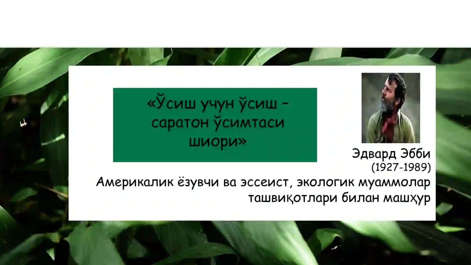 8-мавзу. Атроф-муҳитни ҳимоя қилиш 2
