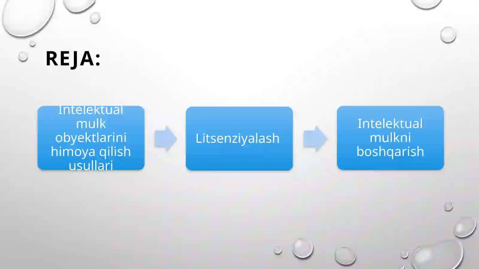 Intelektual mulk va uni himoya qilish usullari 2