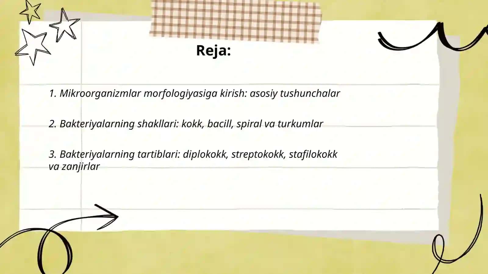 Mikroorganizmlar morfologiyasi 2