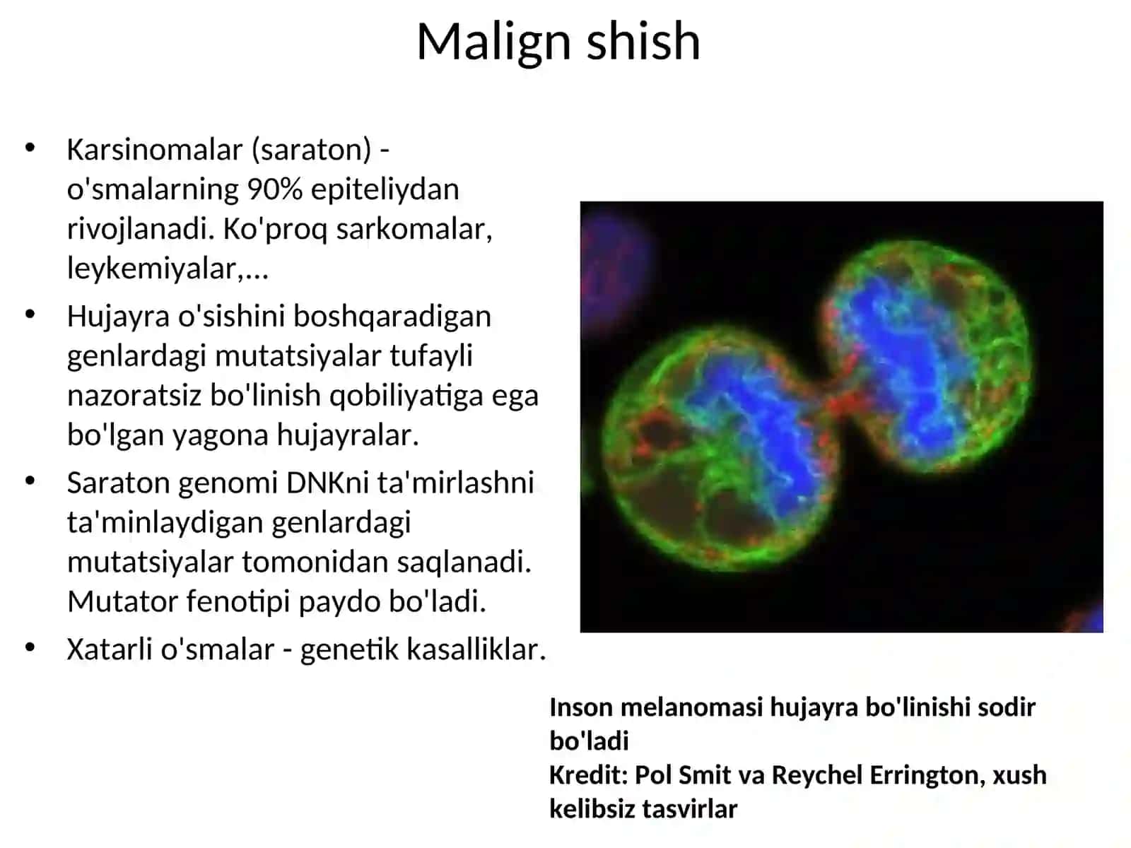 Malign shish 2