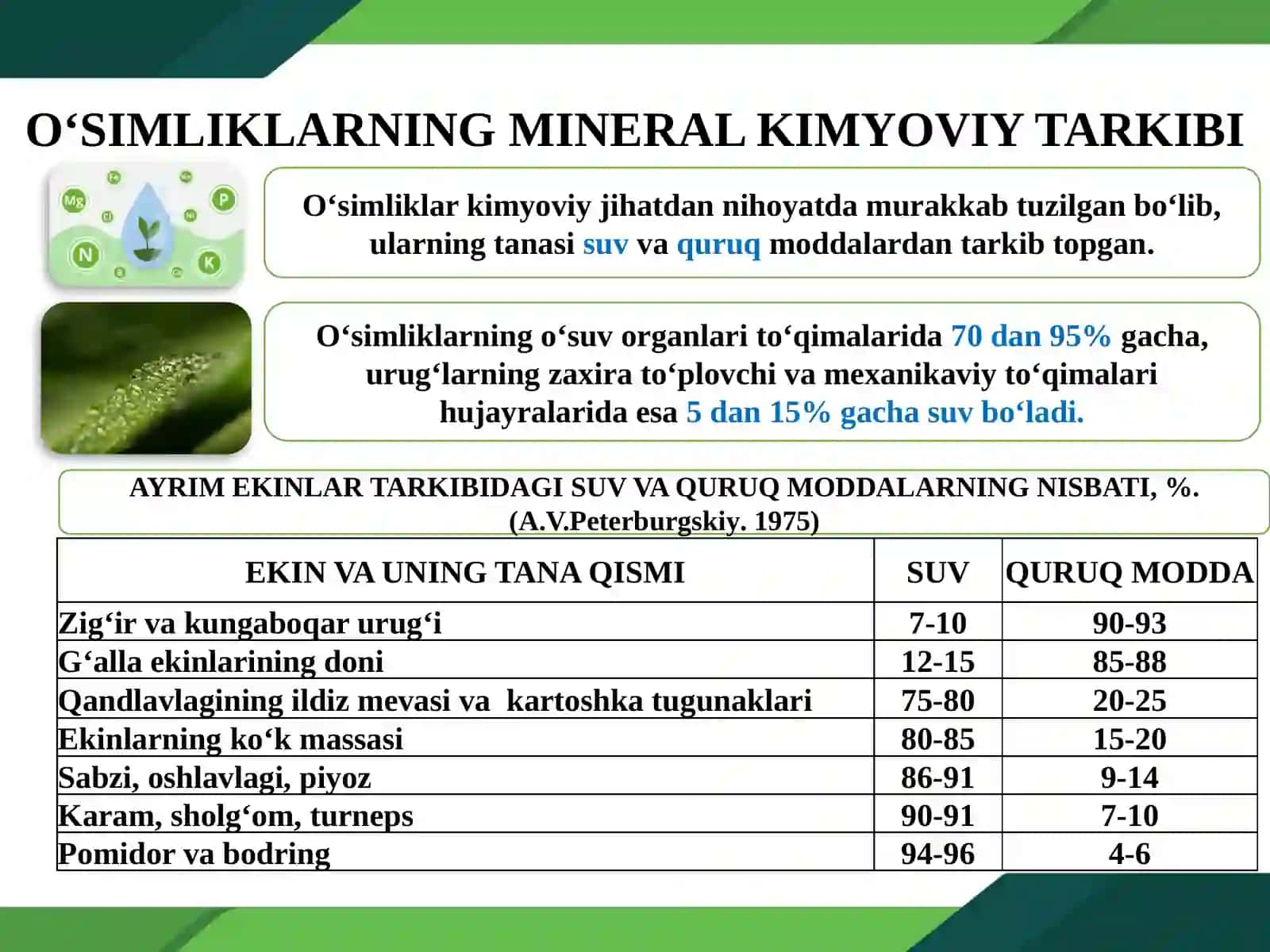 O‘SIMLIKLARNING KIMYOVIY TARKIBI VA OZIQLANISHI 2