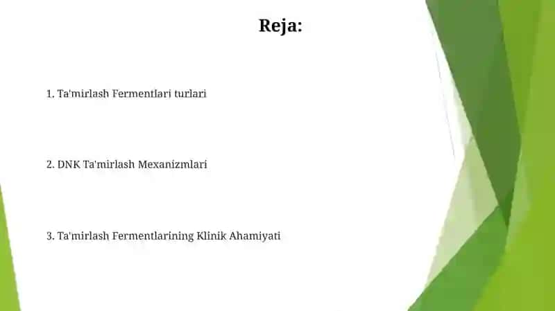 Ta'mirlash fermentlari 2