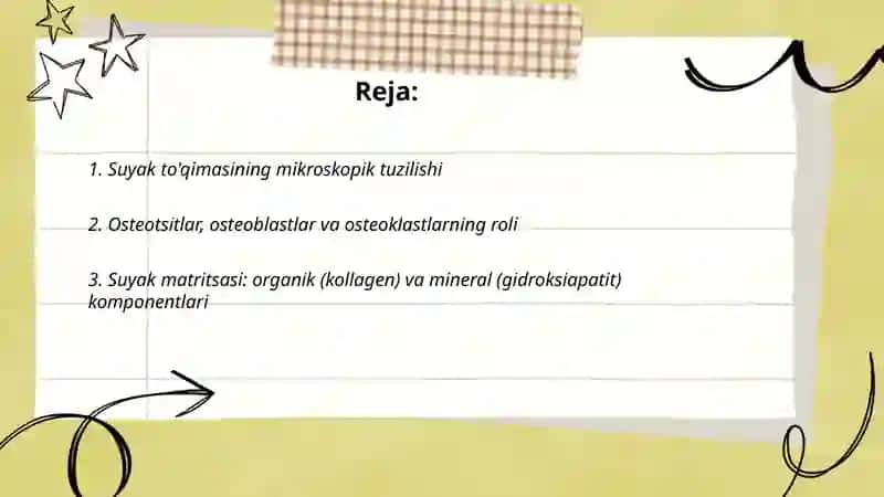 Suyaklarning umumiy tuzilishi va turlari 2