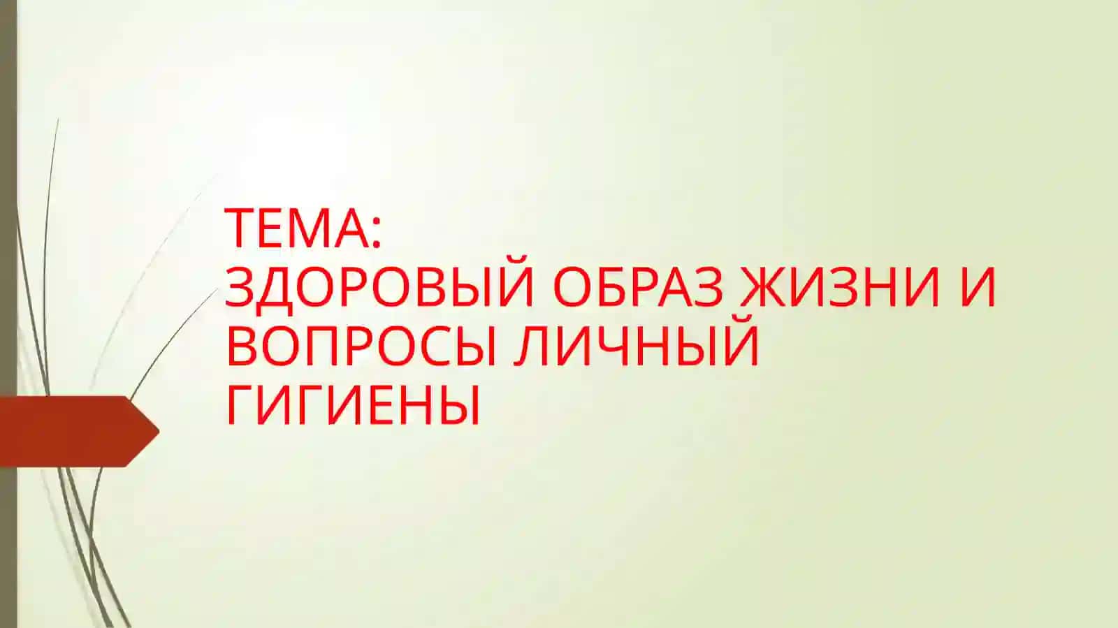 ЗДОРОВЫЙ ОБРАЗ ЖИЗНИ И ВОПРОСЫ ЛИЧНЫЙ ГИГИЕНЫ 2