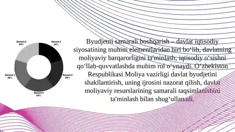 O‘zbekiston Respublikasi Moliya vazirligining byudjet sohasini boshqarishdagi vakolatlari 2