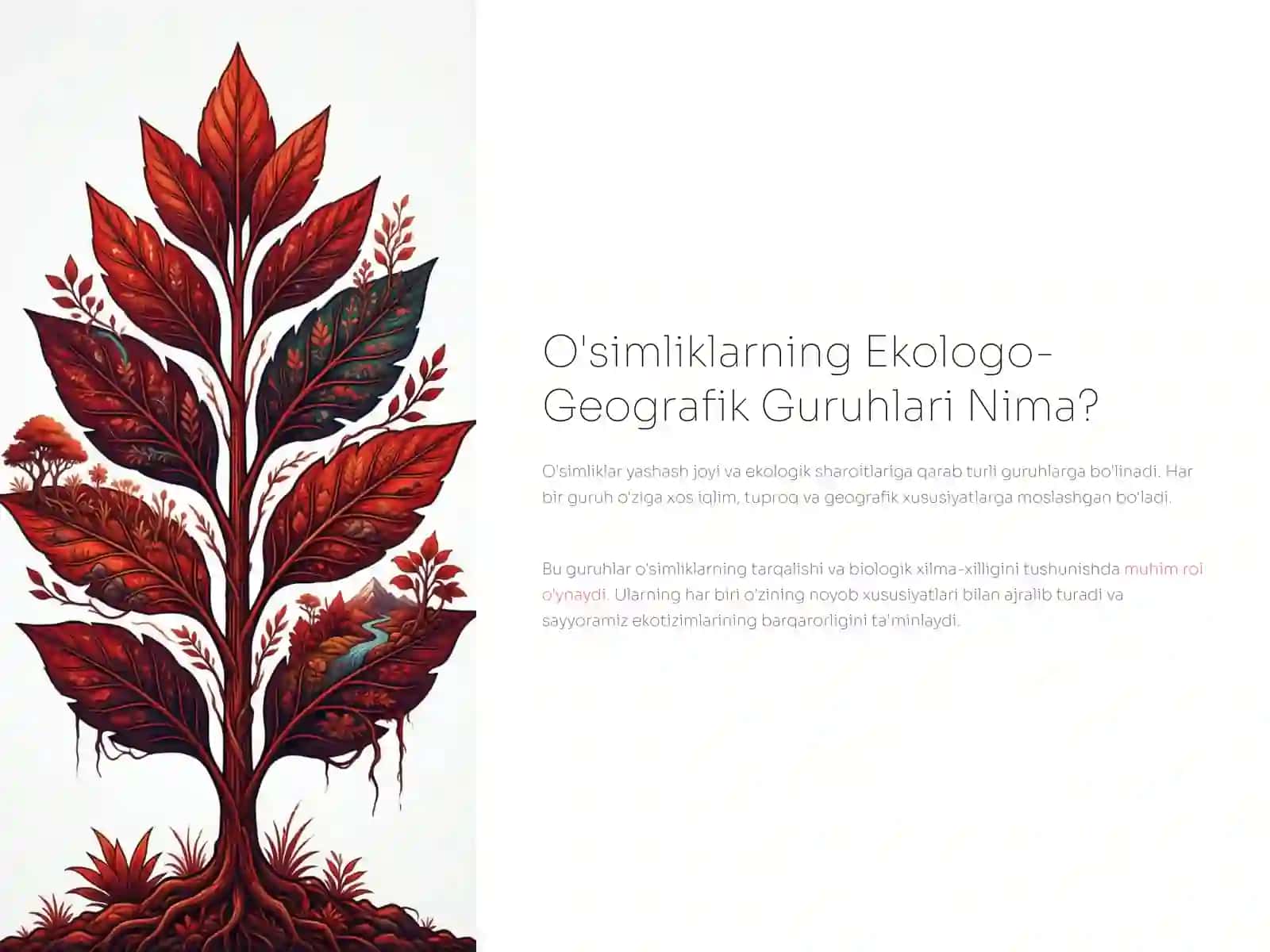 O'simliklarning Ekologo-Geografik Guruhlari va Navlarining Tarkibi 2