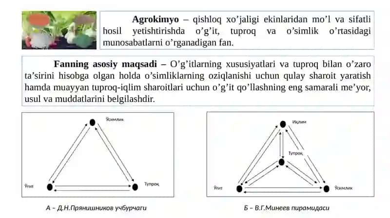 Agrokimyo fanining maqsadi, vazifalari va boshqa fanlar bilan bog’liqligi 2
