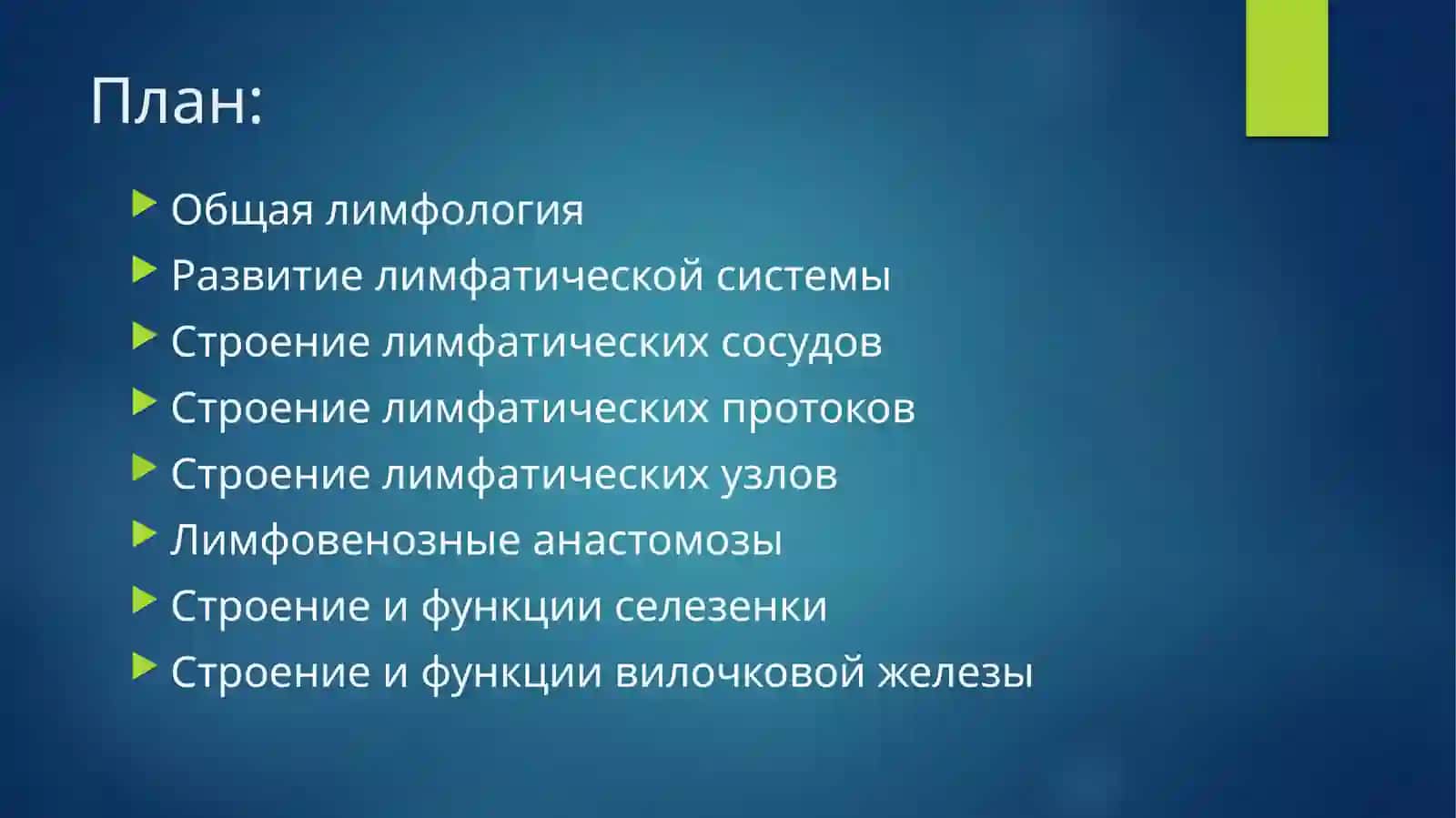 Функциональная анатомия лимфатической системы 2