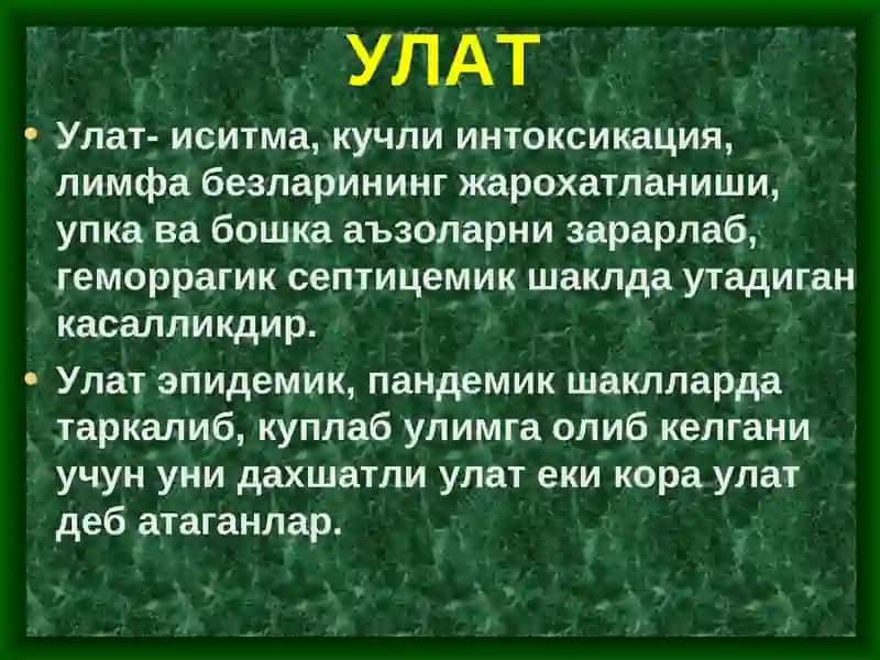 Улат 2