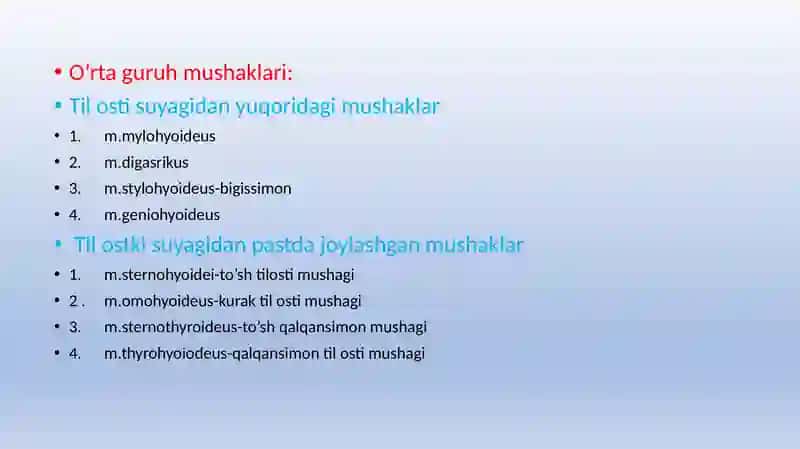 Anatomiya boʻyin muskullari 2