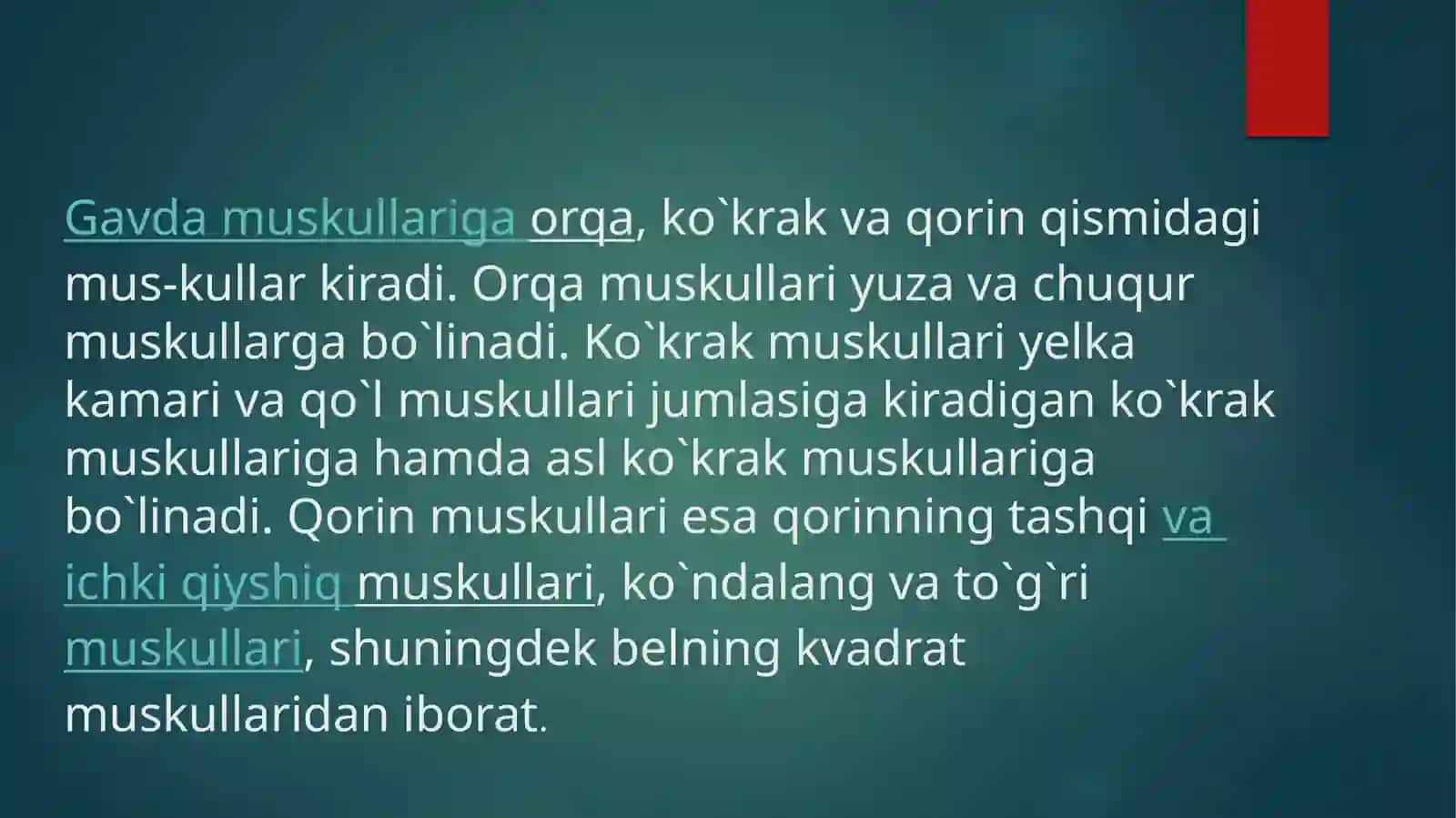 GAVDA MUSKULLARI KO;KRAK VAORQA 2