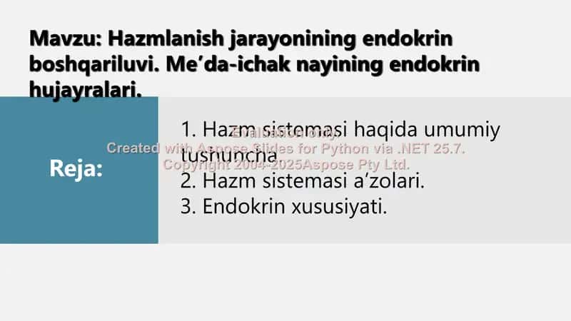 Hazm sistemasi haqida umumiy tushuncha 2