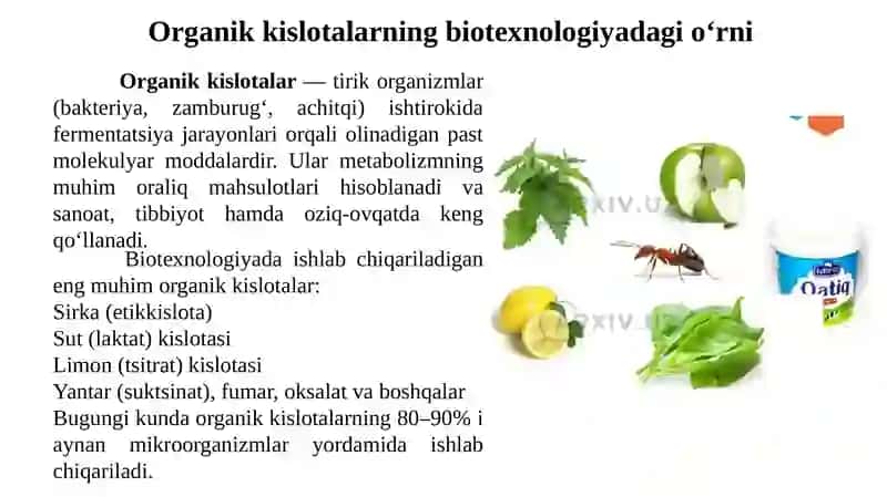 Sirka va kislotali mahsulotlar biotexnologiyasi 2