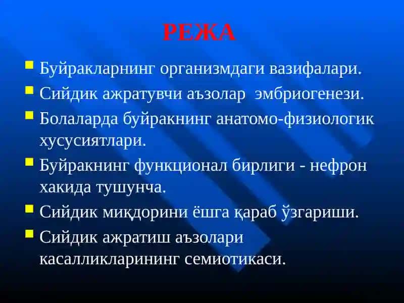 Буйракларнинг организмдаги функцияси 2