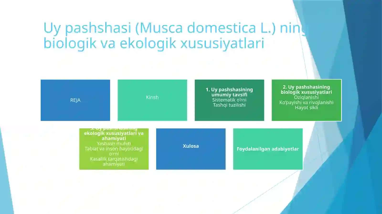 Uy pashshasi (Musca domestica L.) ning biologik va ekologik xususiyatlari 2