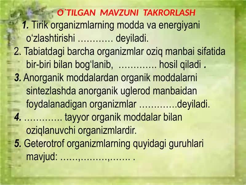 Hayvonlarning oziqlanishi 2