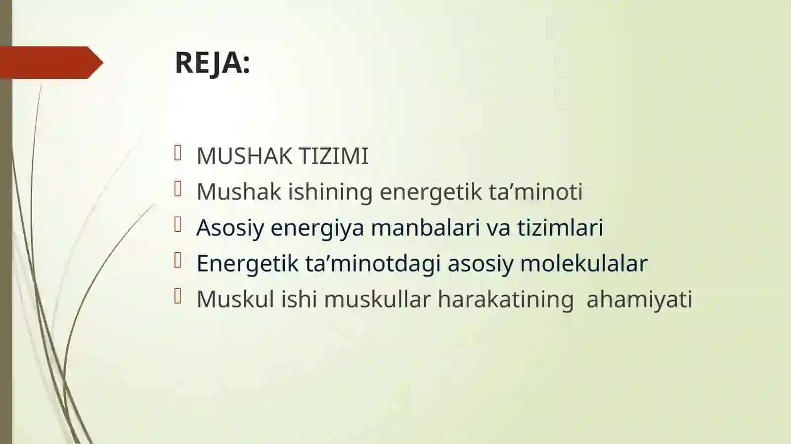 MUSHAK ISHINING ENERGETIK TAMINOTI 2