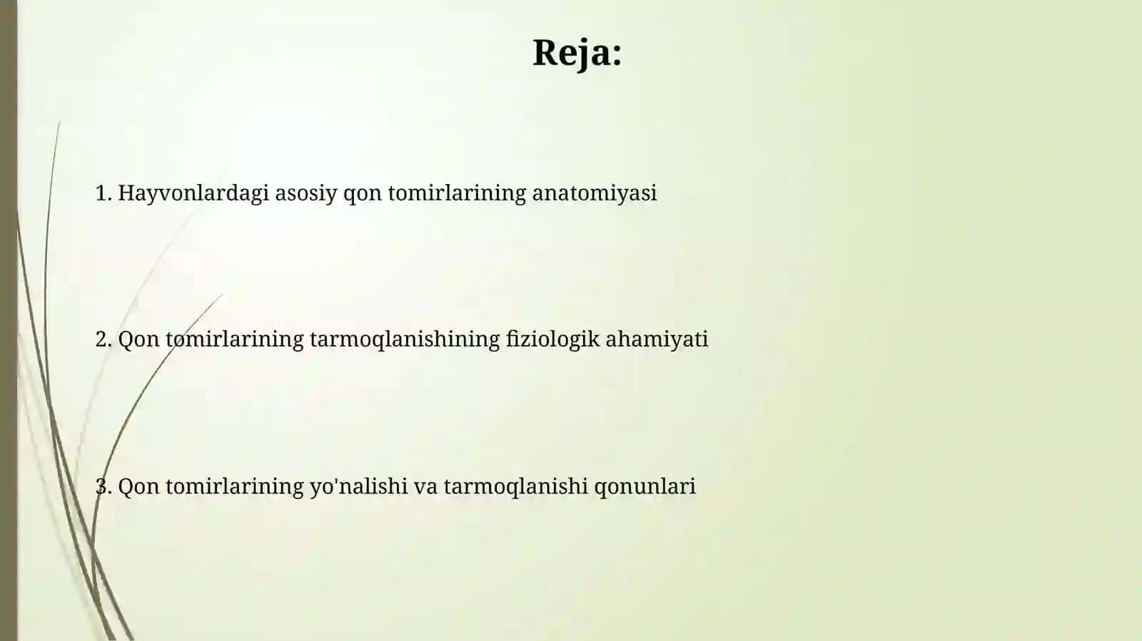 Qon tomirlarning yo’nalishi va tarmoqlanish qonuniyati hayvonlarda 2