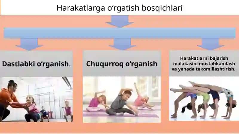 Harakatlarga o’rgatish bosqichlarining tuzilish asoslari 2