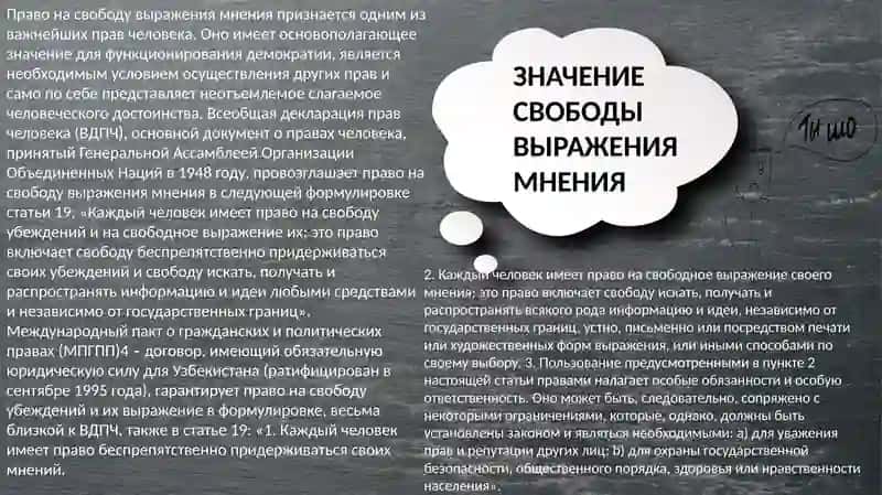 МЕЖДУНАРОДНЫЕ СТАНДАРТЫ В ОБЛАСТИ СВОБОДЫ ВЫРАЖЕНИЯ МНЕНИЯ И РЕГУЛИРОВАНИЯ ДЕЯТЕЛЬНОСТИ СМИ 2