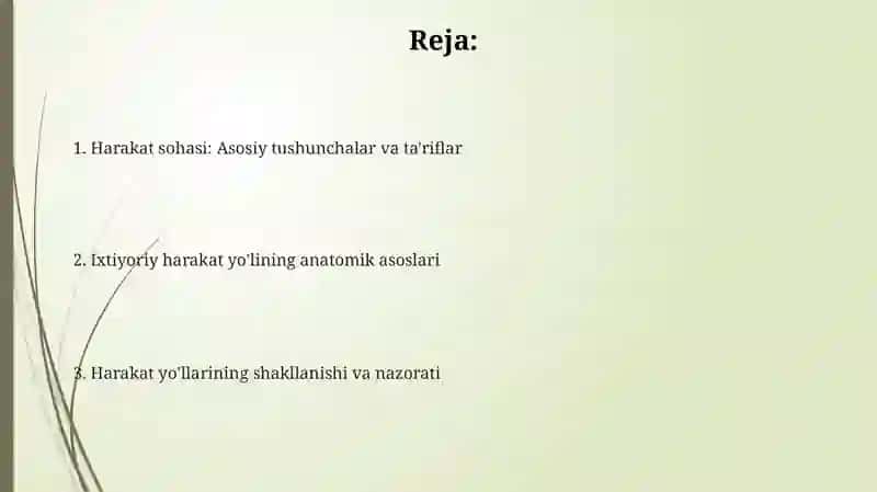 Harakat sferasi ixtiyoriy harakat yoʻli anatomiyasi 2