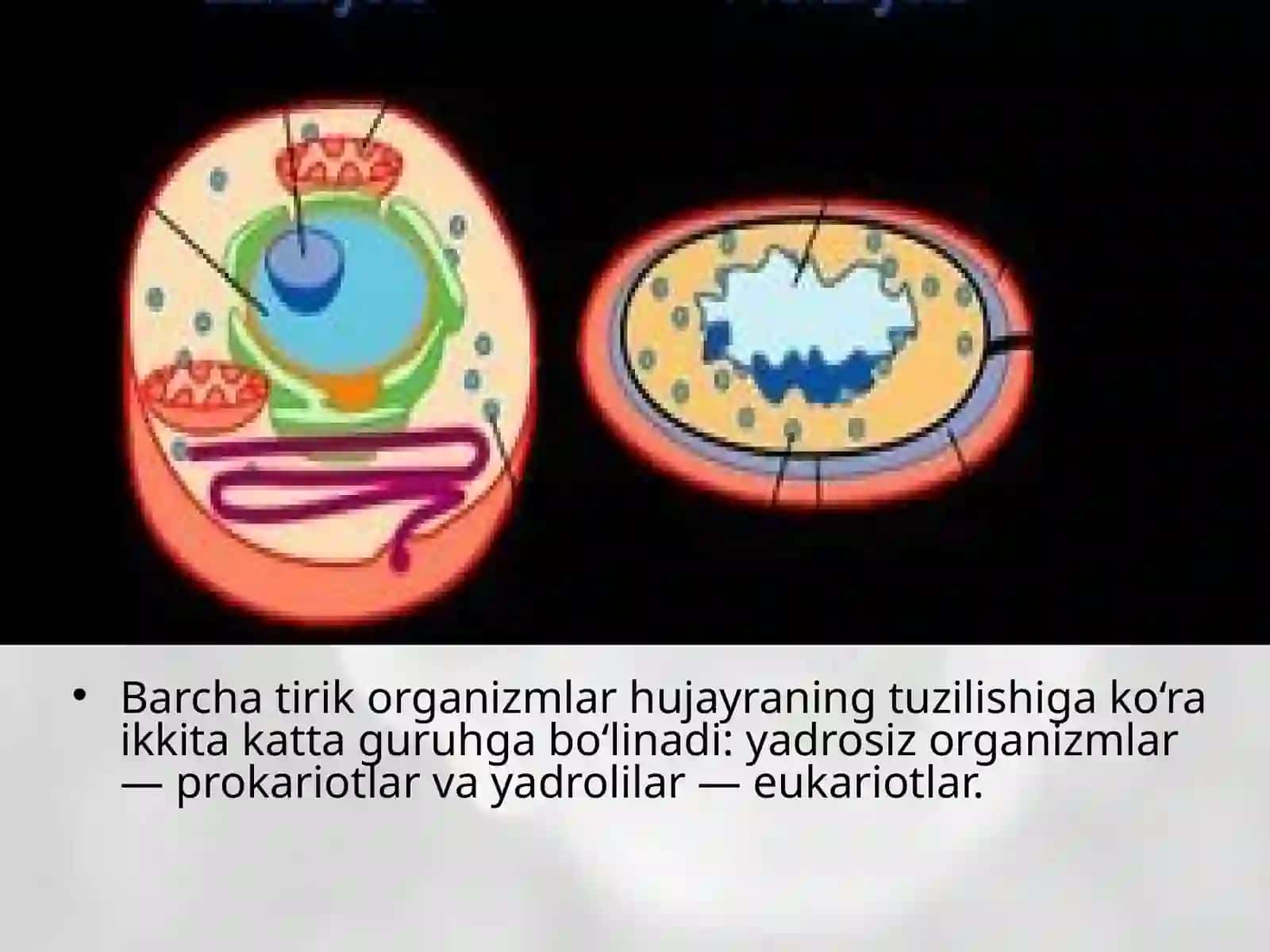 Biologiya fanini o'qituvchi 2