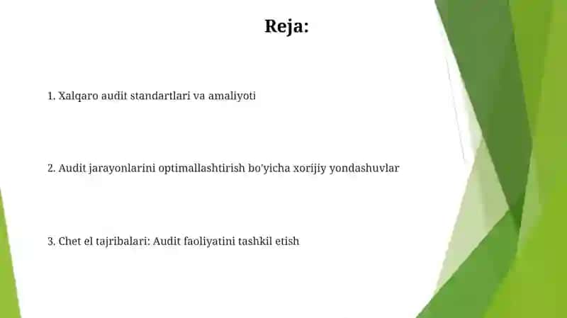 Auditorlik faoliyatini tashkil etishning xorij tajribasi 2
