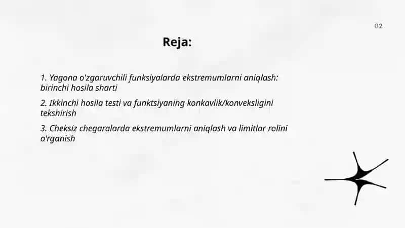 Geometrik, fizik, iqtisodiy mazmunli ekstrimal masalalarni yechishda differensial hisob usullari 2