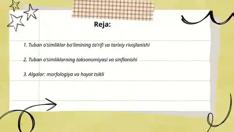 Tuban o'simliklar bo'limi 2