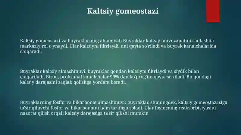 Buyraklarni Kalsiy,Fosfor Va Bikarbonat Almashinuvidagi Ahamiyati 2