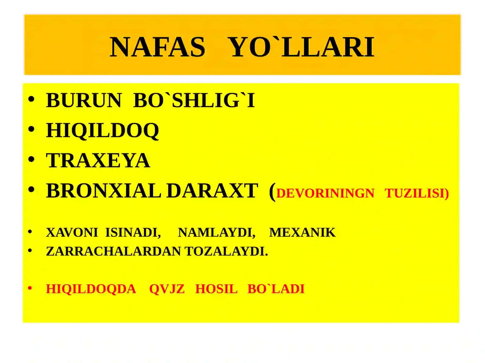 NAFAS OLISH SISTEMASI VA ТERI 2