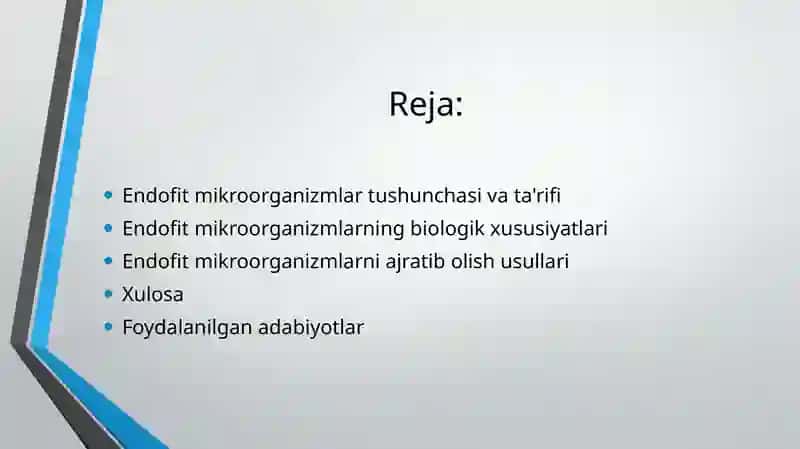 Endofit mikrorganizimlarni ajratib olish va ularni ahamiyati 2