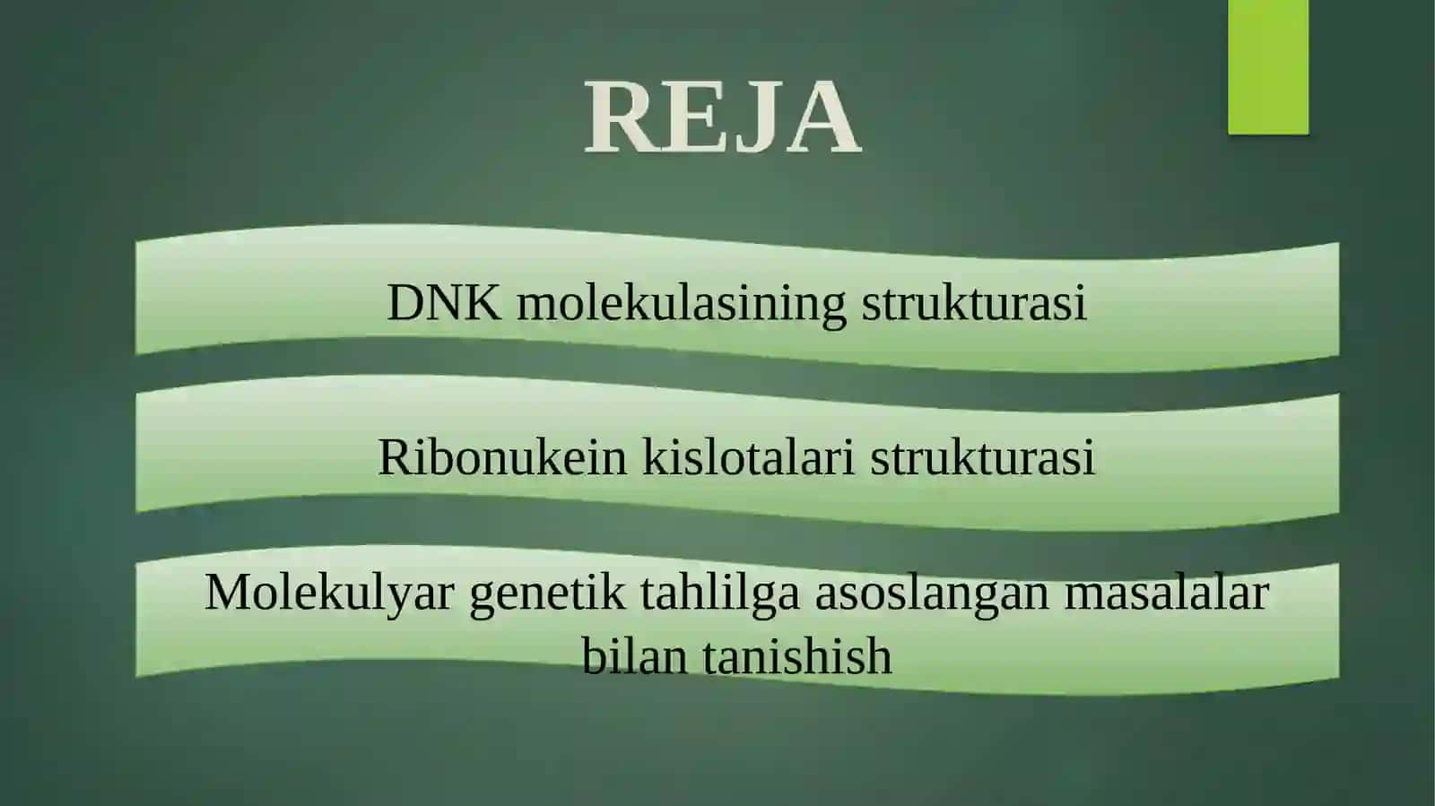 DNK molekulasining strukturasi 2