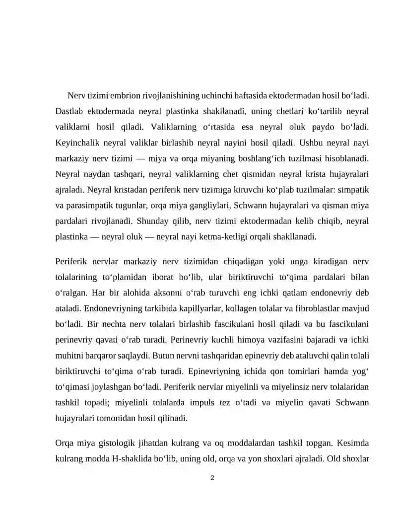 Nerv tizimi 2