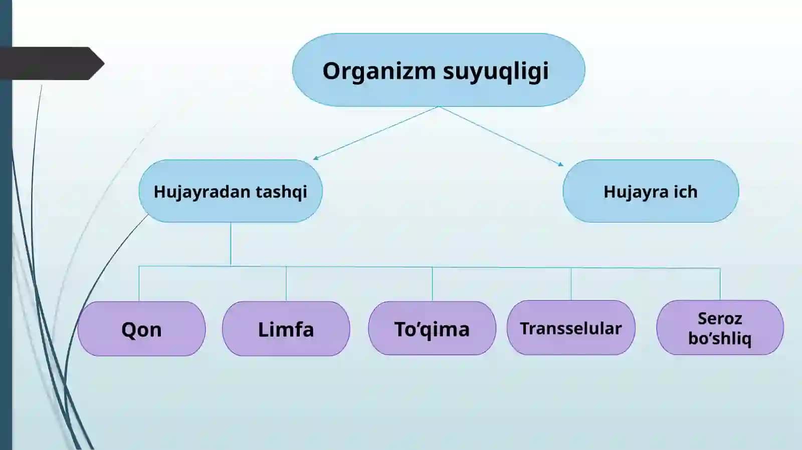 Organizmning biologik suyuqliklari va qonning fizikaviy-kimyoviy xossalari 2