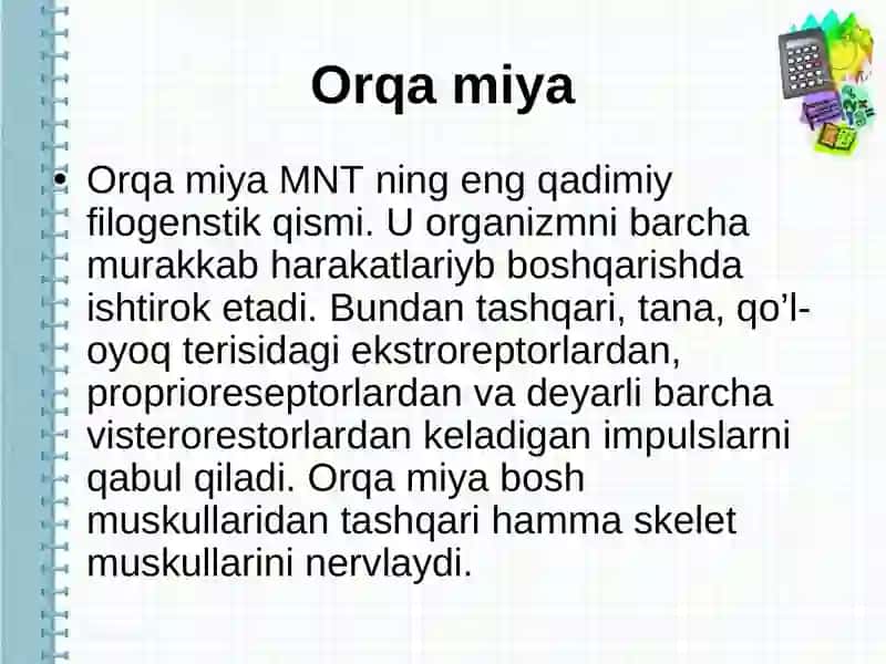 Orqa miyaning reflektor va o’tkazuvchi yo’llari 2