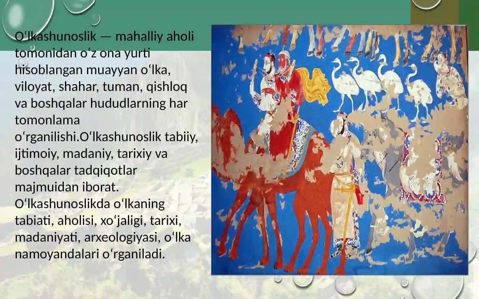 Osiyo xalqlari etnologiyasi 2
