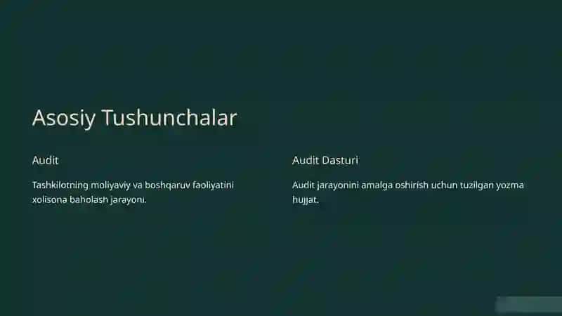 Audit Dasturini Tuzish va Undan Foydalanish 2