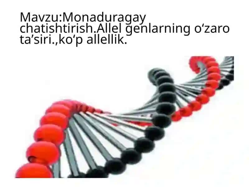 Monaduragay chatishtirish. Allel genlarning oʻzarotaʼsiri, koʻpallellik 2