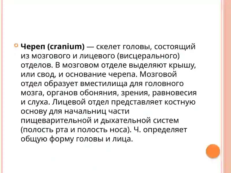 ИЗУЧЕНИЕ КОСТЕЙ ЧЕРЕПА В ВОЗРАСТНОМ АСПЕКТЕ 2