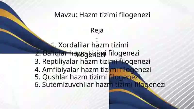 Tibbiy biologiya va genetika: Hazm qilish tizimi filogenezi 2