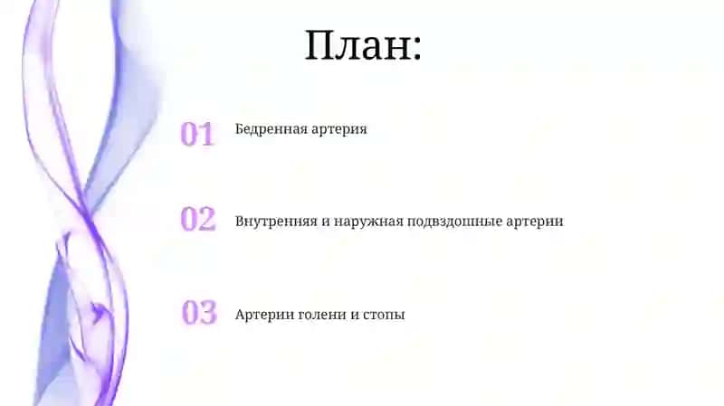 Бедренная артерия, Внутренняя и наружная подвздошные артерии, Артерии голени и стопы 2