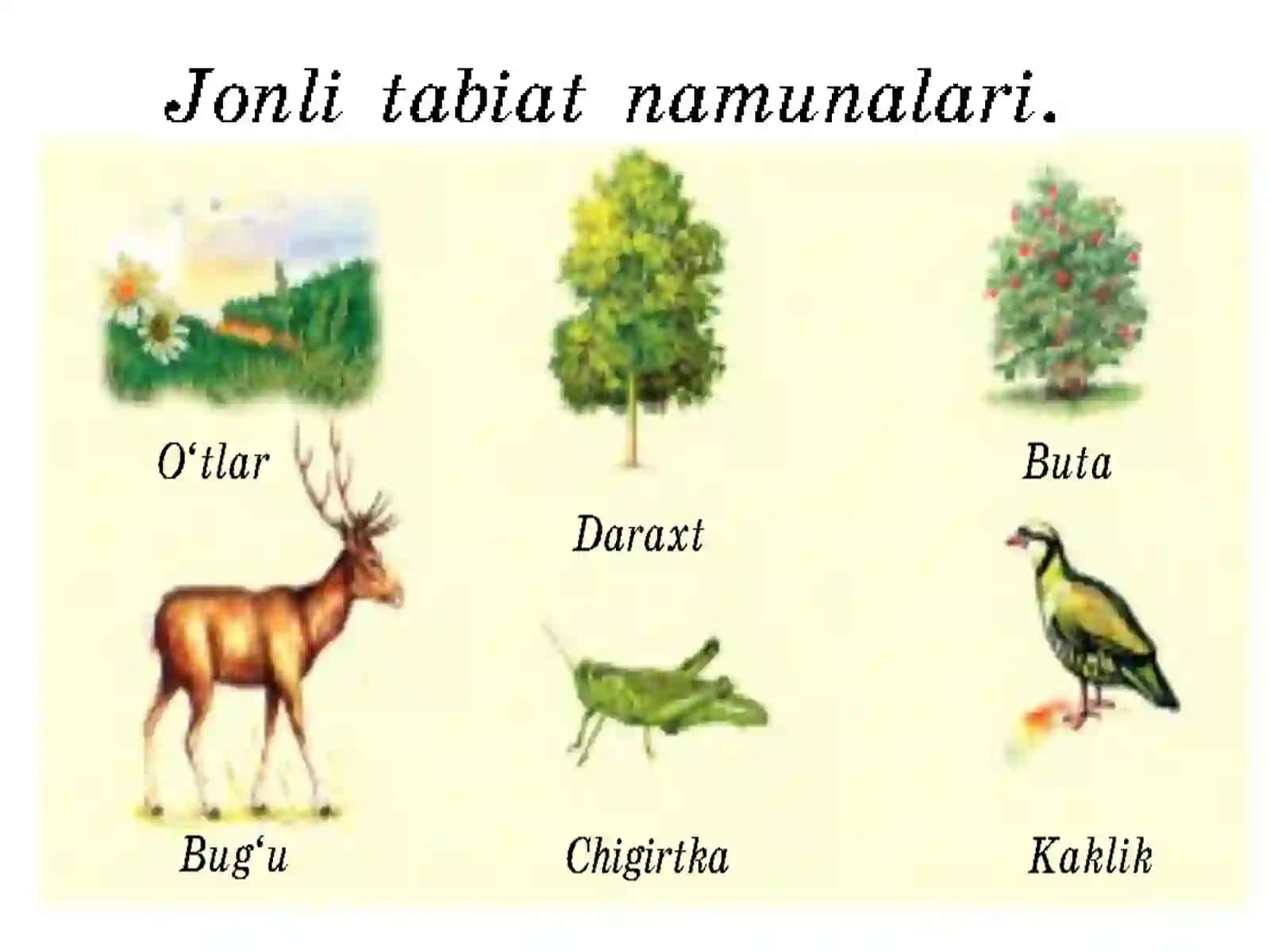 3-sinf Tabiiy Fan (Science) Raxmat tabiat mavzuda dars ishlanma 2