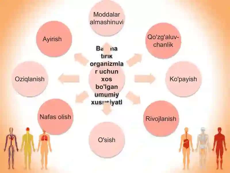 Hujayra va organizmning hayotiy xossalari 2