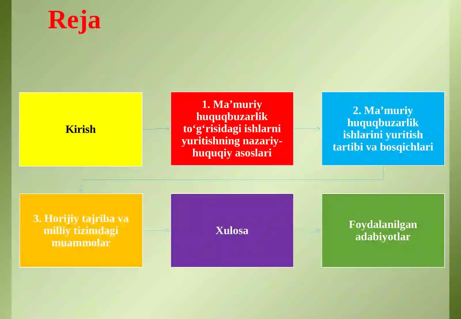 Ma’muriy huquqbuzarlik to’g’risidagi ishlarni yuritish 2
