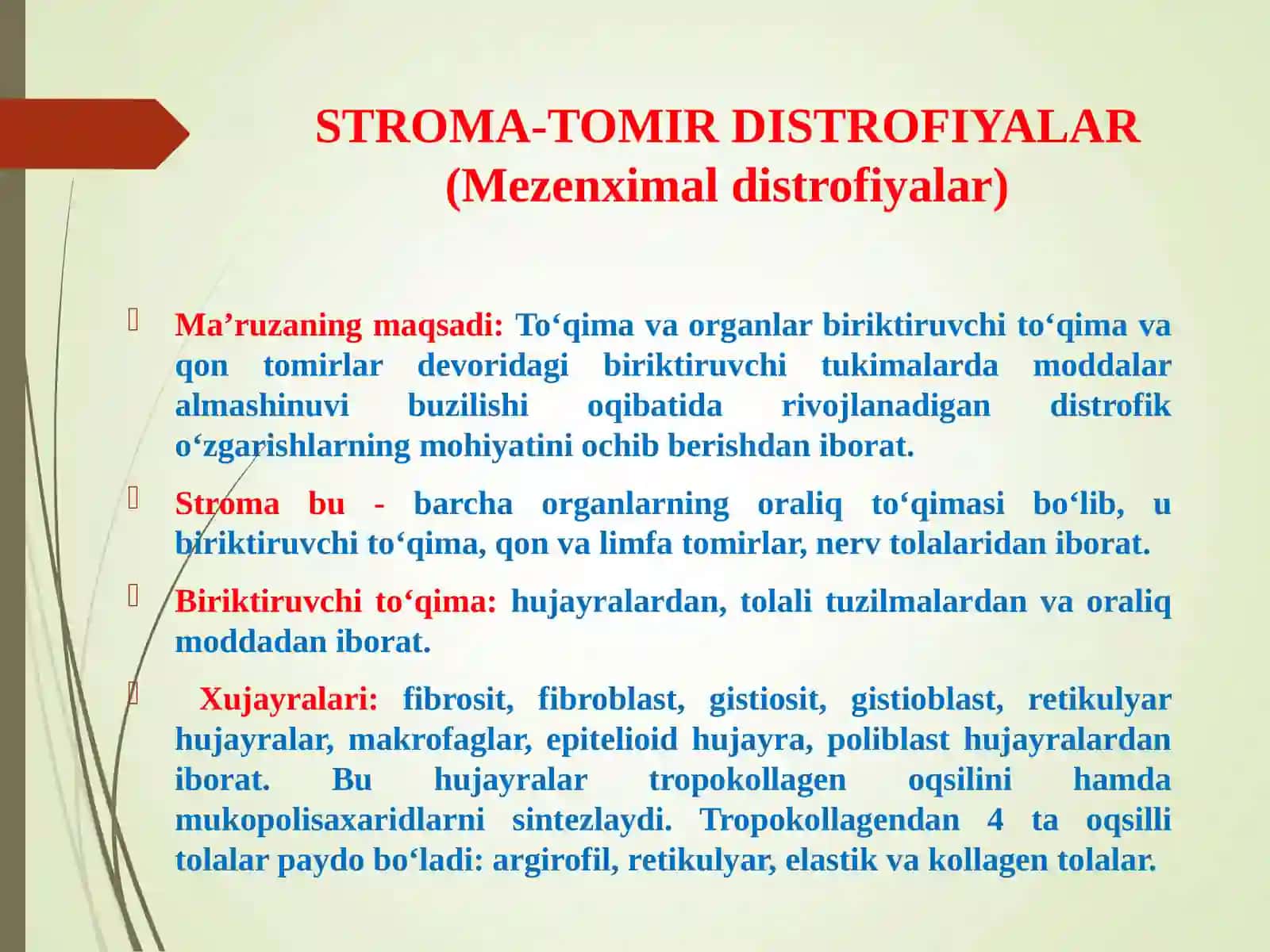 STROMAL – TOMIRLI DISTROFIYALAR 2