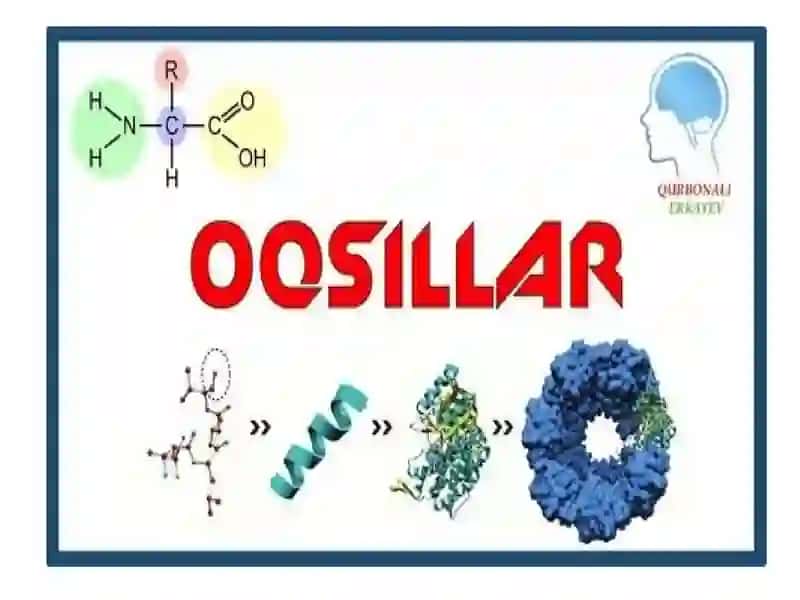 Oqsillar biosintezi, hazm qilish va oqsil assimilyatsiyasi 2